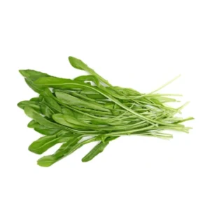 achicoria