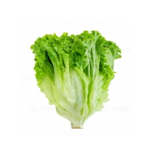 lechuga